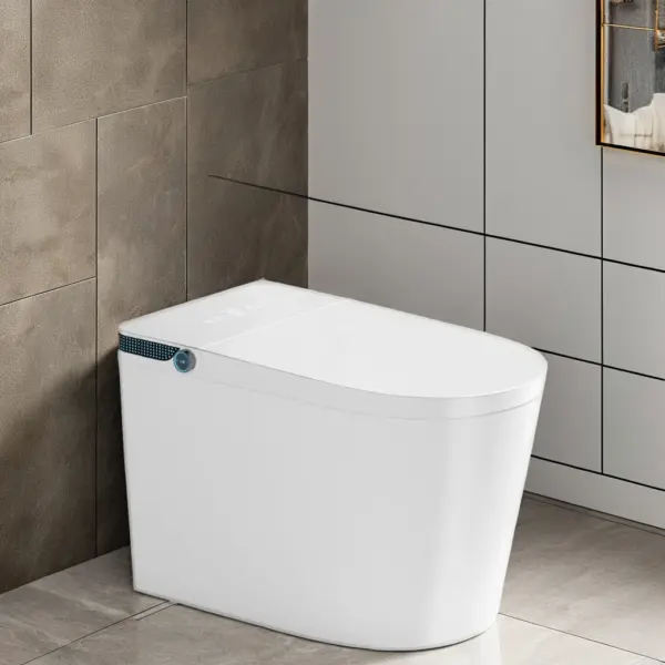 Modern Intelligent Wc Ceramic Toilet Bowl, Floor Mounted Bidet Smart Toilet Heated Seat With Remote Control For Hotel Bathroom