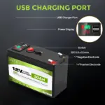 Lithium LiFePO4 12V 30Ah Deep Cycle Iron Phosphate Battery for Solar, Fish Finder, Power Wheels, Lighting,Off-Grid Applications - Image 5